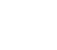 Digital Library Icon